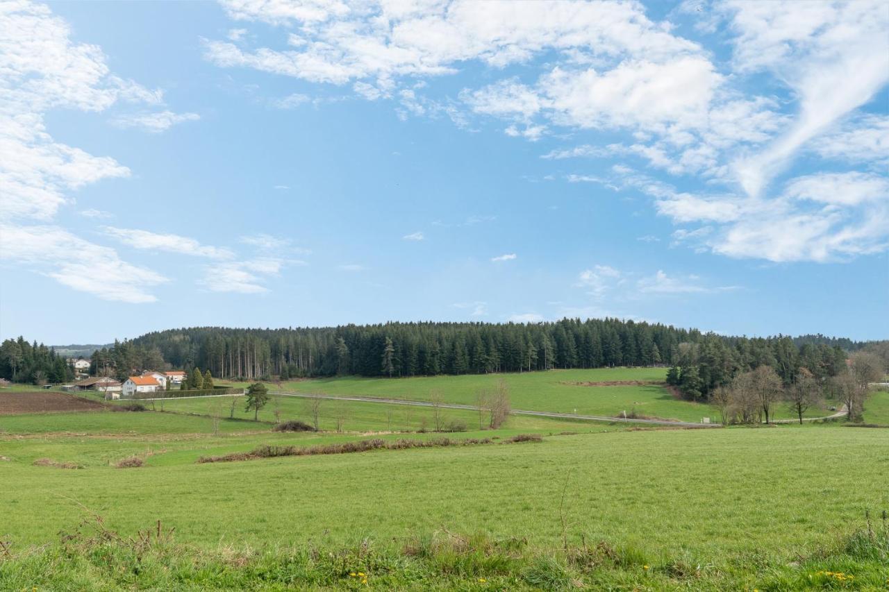 Prunieres - Joli T2 Dans La Haute-loire Appartement
